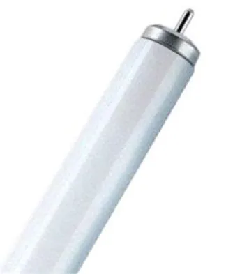 Scharnberger &amp;amp; Hasenbein 45238 Llp T12 38x1500 FA6 65W/640 cw EX fluorescent lamp