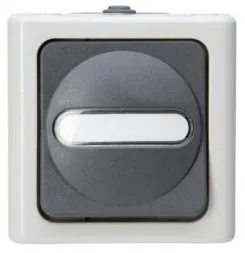 Kopp 561456001 AP-wet room grey button