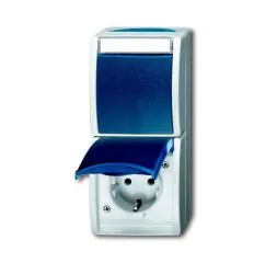 Busch-Jaeger 2601/6/20 EW-53 combination SCHUKO® socket, with rocker switch, on and off switching grey/blue-green