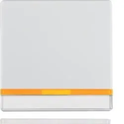 Berker 16286089 rocker with 2 enclosed lenses and labeling field polar white including Berker Q.1/