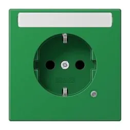 Jung LS1520BFNAKOGN SCHUKO socket, 16 A 250 V ~, without claws, with function display, with label field, integrated increased contact protection, SAFETY+, thermoplastic, Ser