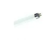 Philips 71685927 fluorescent lamp Master TL Mini 13W 840 1FM/10X25CC