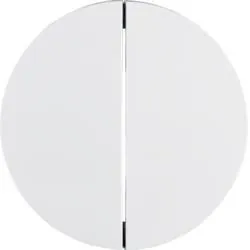 Berker 16232089 Rocker switches polar white, glossy Berker R.1/R.3