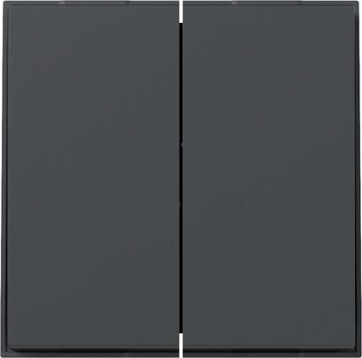 Gira 349567 2f straight TX44 anthr rocker