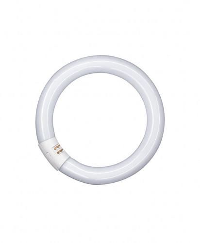 LEDVANCE Osram L 32W/840 C fluorescent lamp 32W ring shape