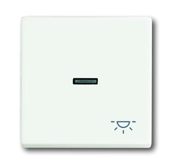 Busch-Jaeger 1789 LI-884 rocker with print, with small transparent dome, studio white matt