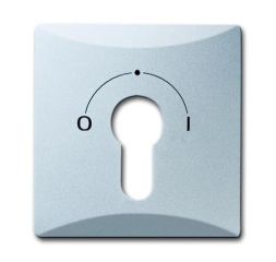 Busch-Jaeger 2155 SLPZ-33 central plate, with print aluminum silver