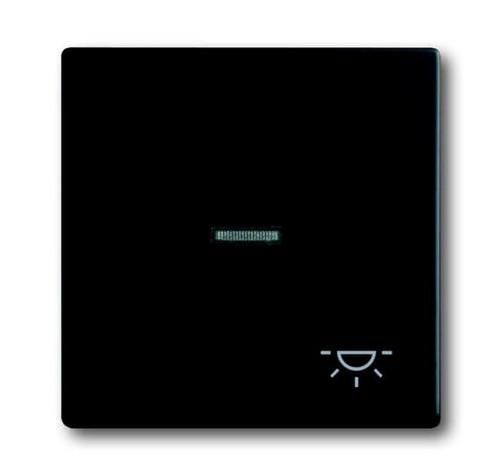 Busch-Jaeger 1789 LI-885 rocker with print, with small transparent dome, matt black