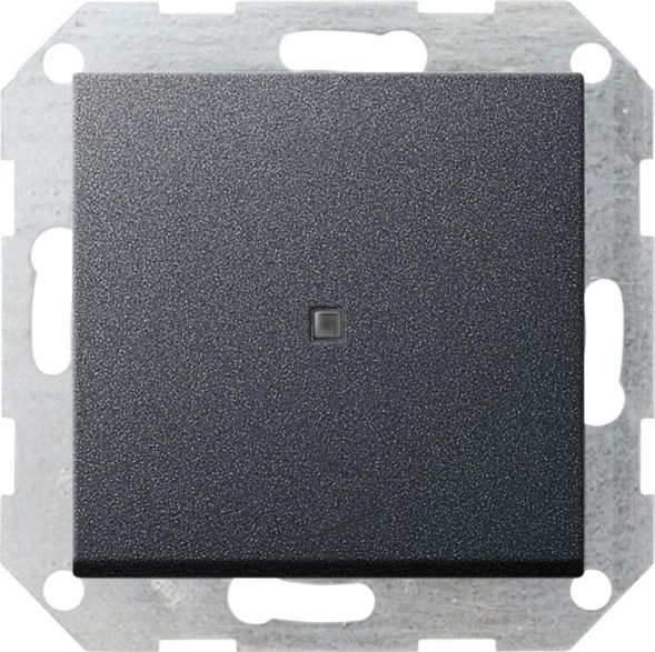 Gira 012428 push-button control switch AusWe straight System 55 anthracite