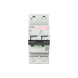 Busch-Jaeger 2CDS252088R0065 Elfaplus 6kA B6A 2P circuit breaker