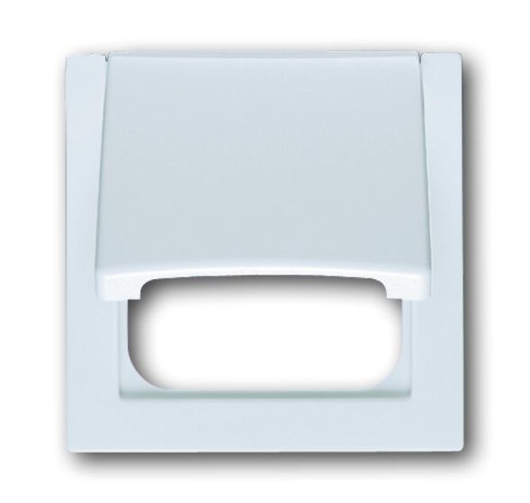 Busch-Jaeger 1746-74 central plate alpine white