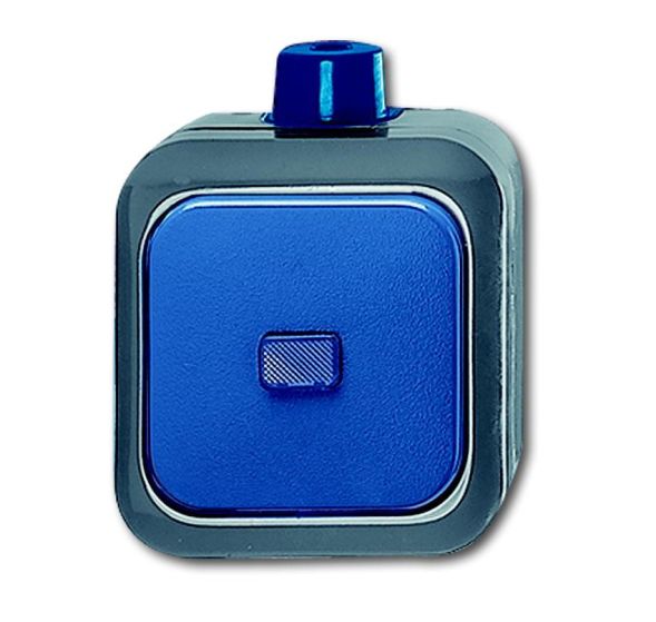 Busch-Jaeger 2601/6 WDI rocker switch, on and off switching