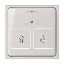 ELSO 367254 central plate electric roller shutter switch JOY pure white
