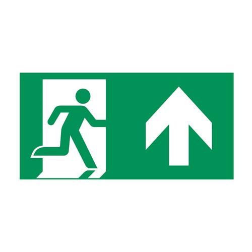 CEAG emergency light 40071354138 PICTOGRAM PO ISO 7010 STYLE LED emergency light