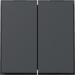 Gira 329567 2f TX44 WG UP anthr rocker