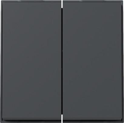 Gira 329567 2f TX44 WG UP anthr rocker