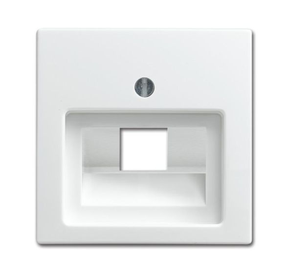 Busch-Jaeger 1803-914 Central plate alpine white