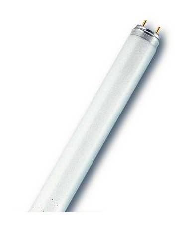 LEDVANCE Osram L 58W/60 fluorescent lamp 58W colored red