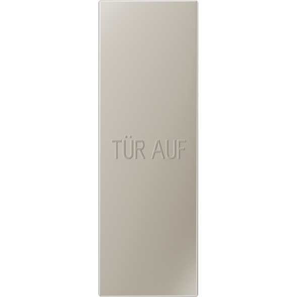 Jung ES2993P large surface rocker (70 x 212, 4 mm), text door open, vertical, LS series, stainless steel