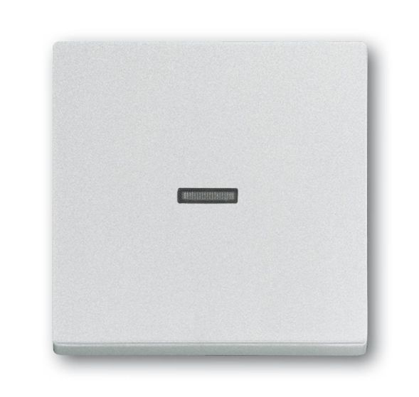 Busch-Jaeger 1789 N-83 rocker switch, with small transparent dome, aluminum silver