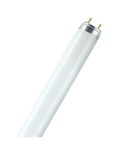 LEDVANCE Osram L 58W/76 fluorescent lamp 58W NATURA DE LUXE
