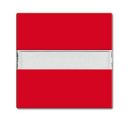 Busch-Jaeger 2510 NLI-917 rocker switch, with label field red RAL 3020