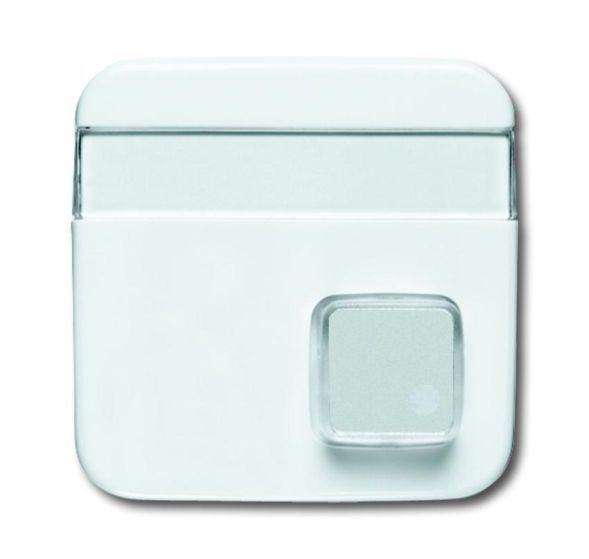 Busch-Jaeger 1571 CN-214 central plate, 1-way, with label field alpine white