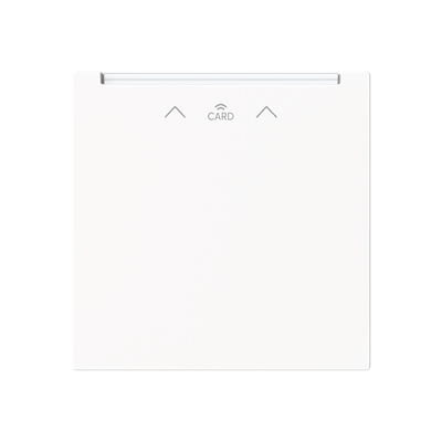 Busch-Jaeger 2CKA001710A4245 Card switch RFID central plate