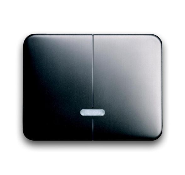 Busch-Jaeger 6545-20 control element, with glow lamp platinum