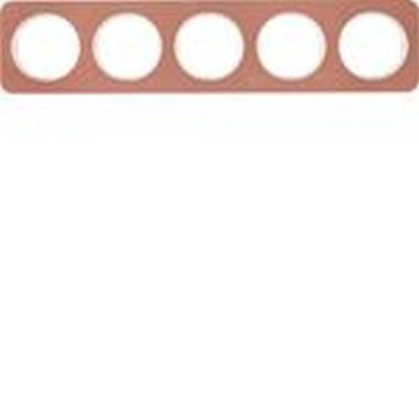 Berker MAN0106417 frame 5-way R.1 copper/polar white
