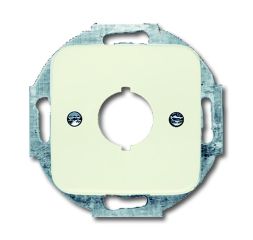 Busch-Jaeger 2534-212 central plate, with white support ring