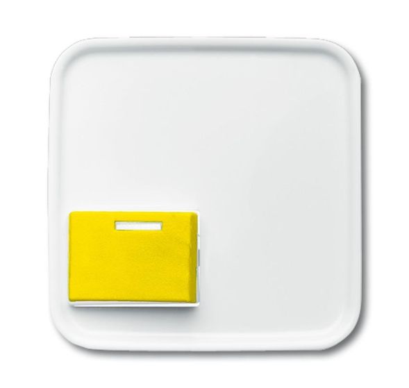 Busch-Jaeger 2548-642 D-214 central plate alpine white