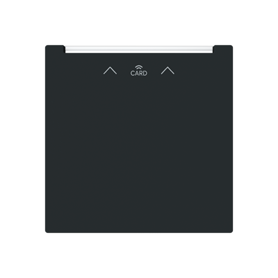 Busch-Jaeger 2CKA001710A4247 Card switch RFID central plate