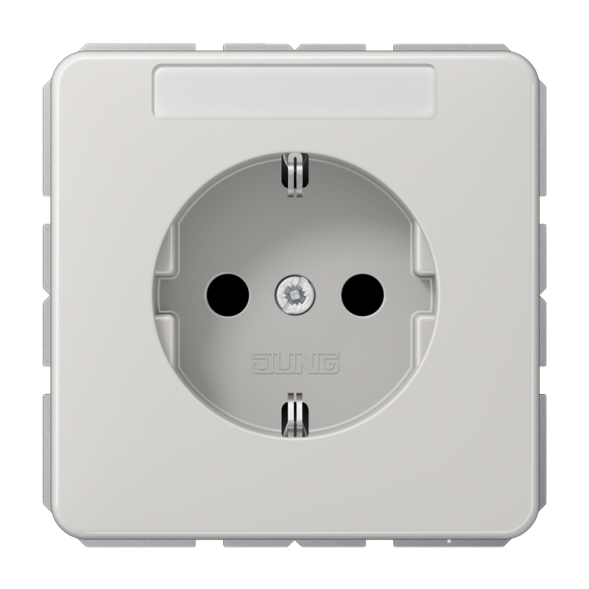 Jung CD1520BFKINALG SCHUKO socket, 16 A 250 V ~, with label field, integrated increased contact protection, SAFETY+, thermoplastic, CD series, light grey