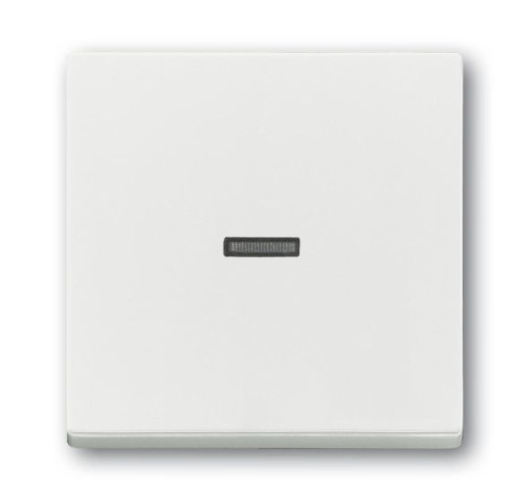 Busch-Jaeger 1789 N-884 rocker switch, with small transparent dome, studio white matt