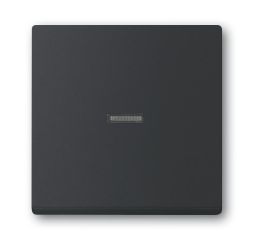 Busch-Jaeger 1789 N-885 rocker switch, with small transparent dome, matt black