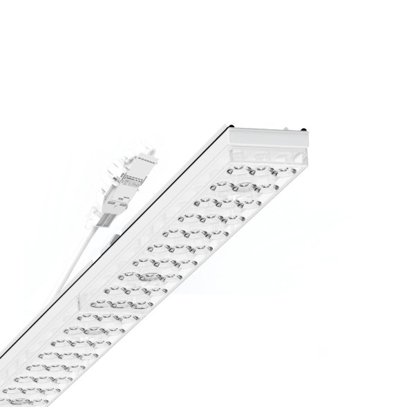 Regiolux 19437026370 SRGSVOTB/2250 7000 830 DALI IP54 vw LED device carrier