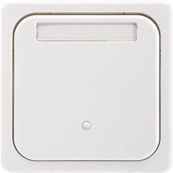 ELSO 203304 System touch panel 1-way illuminated marking and pure white