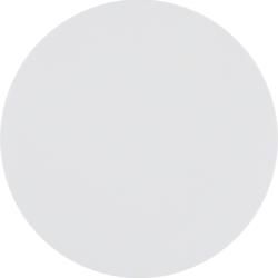Berker 85141139 button 1-way polar white, glossy Berker R.1/R.3