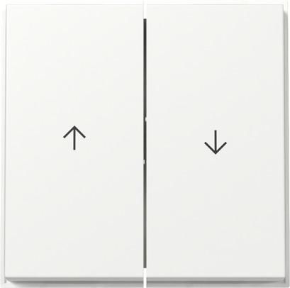 Gira 329466 2f arrow TX44 WG UP rws rocker