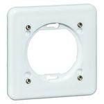 Hochköpper 00907894 D 370.17 AGU WU intermediate ring