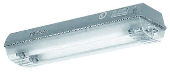 CEAG emergency light CEAG NLLK 08018/18 1-3/1 Ex light 2x18W EVG for Zone 2,21,22