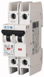Eaton FAZ-D10/2-NA circuit breaker, 102187