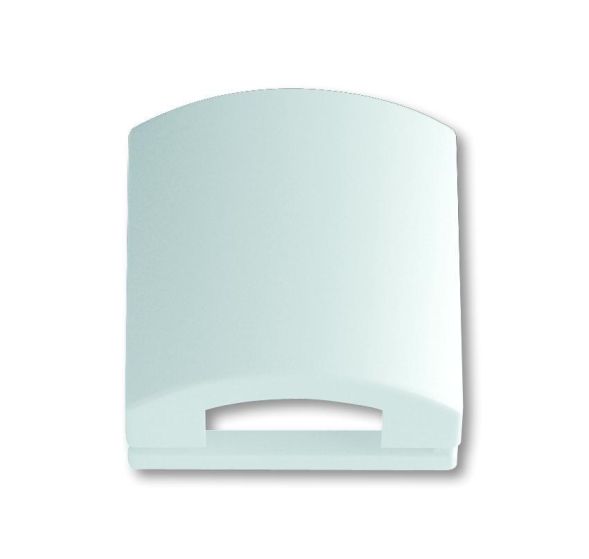 Busch-Jaeger 1746-84 central plate studio white