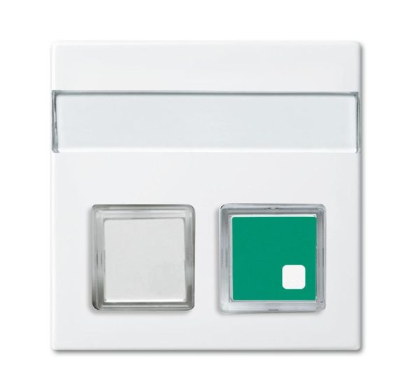 Busch-Jaeger 1572 CN-914 central plate, 2-way, with label field alpine white