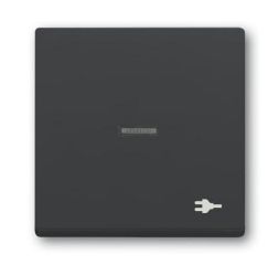 Busch-Jaeger 1789 ST-81 rocker with print, with small transparent dome anthracite