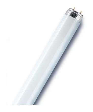 LEDVANCE Osram L36W/830 fluorescent lamp 36W warm white