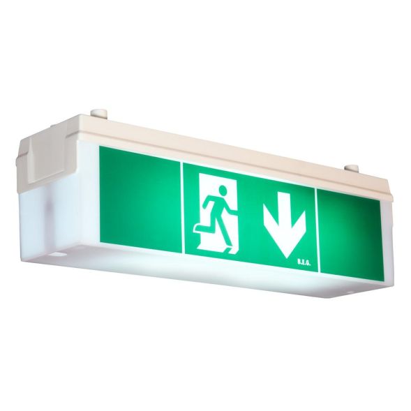 BEG 7894 14m, EVG, wall-ceiling mounting emergency and information light