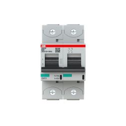 ABB Stotz-Kontakt 2CCG001217R0001 S802P-B80 80A B-Char.2P heavy-duty circuit breaker