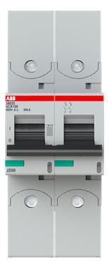 ABB Stotz-Kontakt 2CCS862002R1825 S802S-UCB100-R B100A 2-pole high-performance circuit breaker